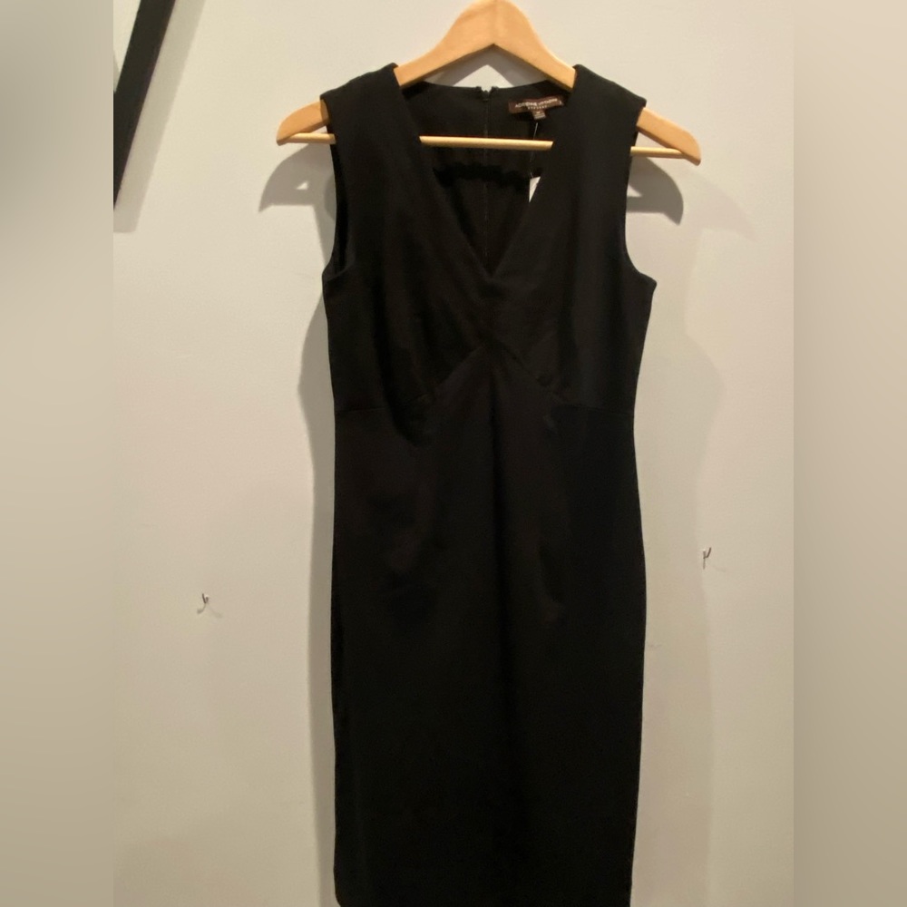 Adrienne Vittadini sheath dress